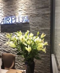 -Air Plus 美发沙龙