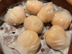 -新天世纪中餐厅