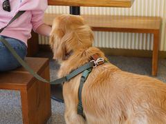 -Dal Cuore 达可芮冰淇淋(陕西北路店)