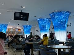 -深海中餐厅(国家海洋博物馆店)