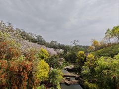 -广州莲花山旅游区