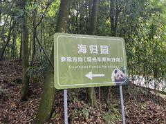 -中国大熊猫保护研究中心雅安碧峰峡基地