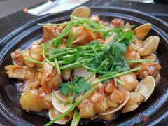 白贝焖鸡-利雅园酒家(大沙地店)