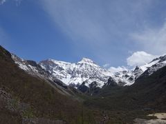 -黄龙山原始森林景区