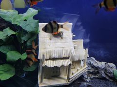 -沙沙哗啦海洋馆(华宇百花谷店)