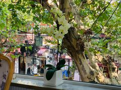 -蝶舍·MAISON PAPILLON