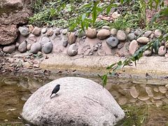 -五凤溪古镇