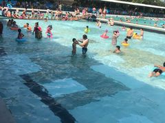 -海豚湾梦幻水上乐园