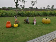 -同里国家湿地公园
