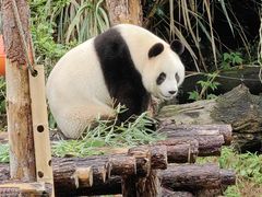 -宁波野生动物园