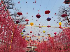 -北京凤凰岭