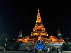 -西双版纳原始森林公园