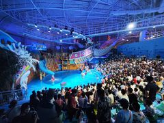 -烟台海昌鲸鲨海洋公园