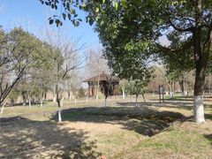 -南湖湿地公园