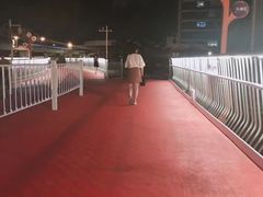 -猫咪博物馆(顶澳仔猫街店)