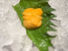 -月龍吟(朝龙汇店)