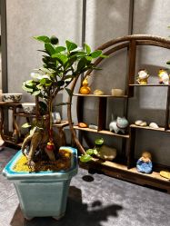 -御珠宫坊(壹海城ONEMALL店)