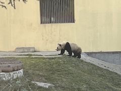 -西安秦岭野生动物园