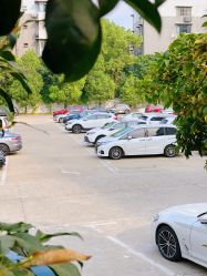 -弗蕾亚·和月月子调理院(东湖店)