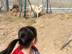 -陆地游轮吉林神农温泉