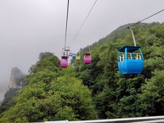 -蝶舞清江·恩施云顶景区(黄鹤峰林)