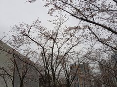 -龙美术馆(西岸馆)