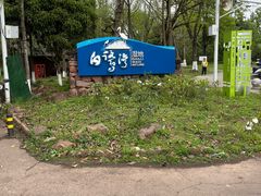 -白鹭湾湿地公园