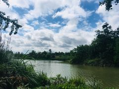 -白鹭湾湿地公园