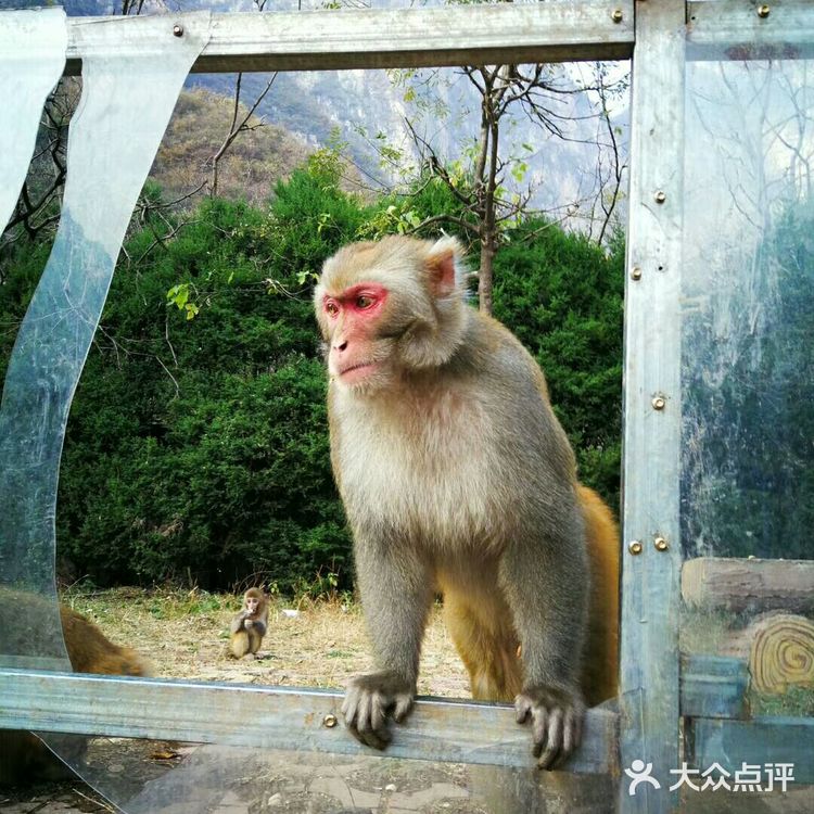 祖国大好河山
