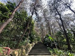 -铁山坪森林公园