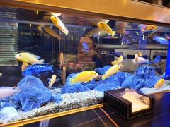 -黄鱼炙夜·烧烤·小龙虾(星荟广场店)