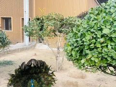 -太原动物园