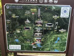 -灵谷景区