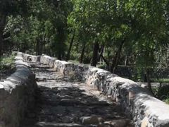 -阳台山自然风景区