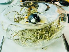 嫩煮鸡蛋-翡翠36餐厅(浦东香格里拉店)