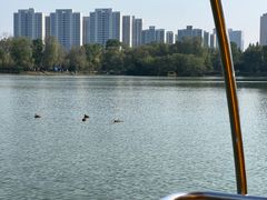 -洋湖国家湿地公园
