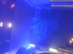 -唐宫足道·SPA·住宿24H会所(木渎店)