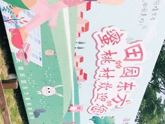 -田园东方蜜桃村的田野营地