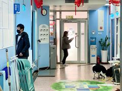 -北京博爱动物医院有限公司