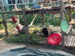 -大连森林动物园