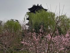-济南大明湖景区