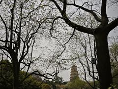 -大慈恩寺(大雁塔)