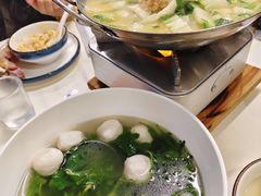 -丁老爷子苏香圆