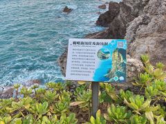 -杨梅坑