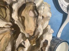 -千岛蚝高压锅生蚝·人参火锅(白云万达店)