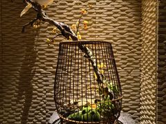 -浅深(北京北四环精品店)