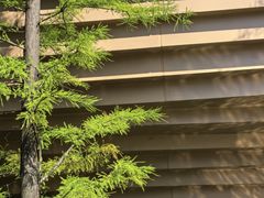 -云溪植物园