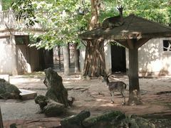 -成都动物园