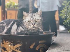 -龙华寺
