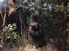 -陕西自然博物馆